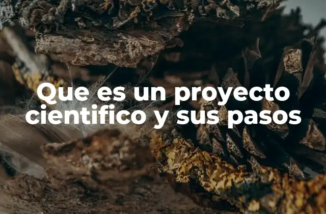 Que es un Proyecto Cientifico y Sus Pasos 2 El proceso detrás de la investigación científica