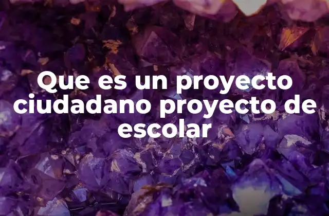 Que es un Proyecto Ciudadano Proyecto de Escolar