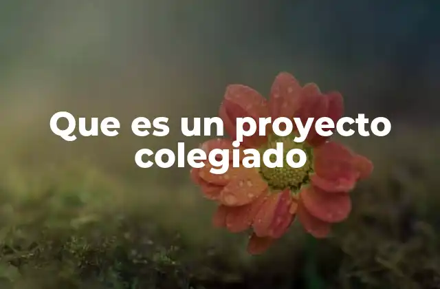Que es un Proyecto Colegiado
