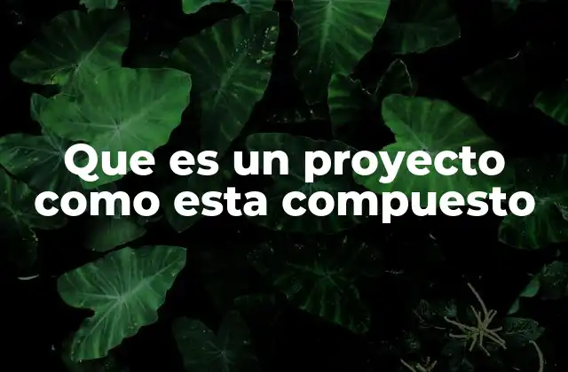 Que es un Proyecto como Esta Compuesto