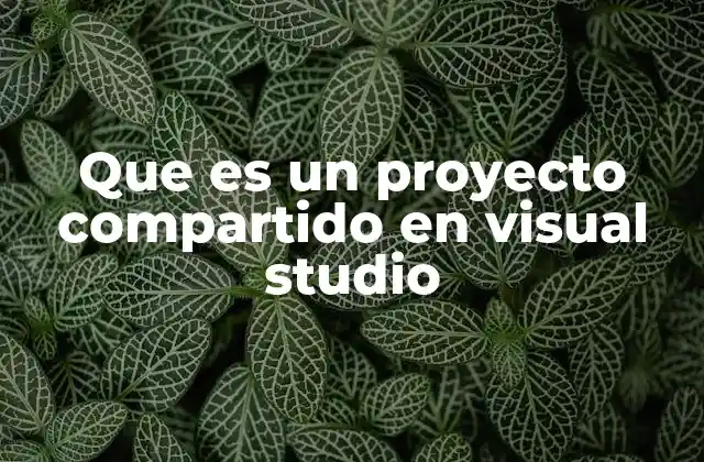 Que es un Proyecto Compartido en Visual Studio 2 Cómo los proyectos compartidos optimizan el flujo de trabajo en desarrollo colaborativo