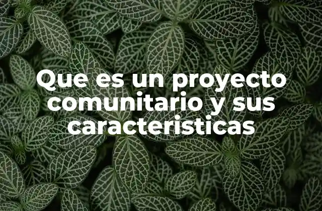Que es un Proyecto Comunitario y Sus Caracteristicas 2 La importancia de la participación ciudadana en proyectos comunitarios