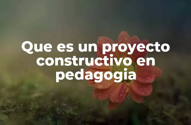 Que es un Proyecto Constructivo en Pedagogia