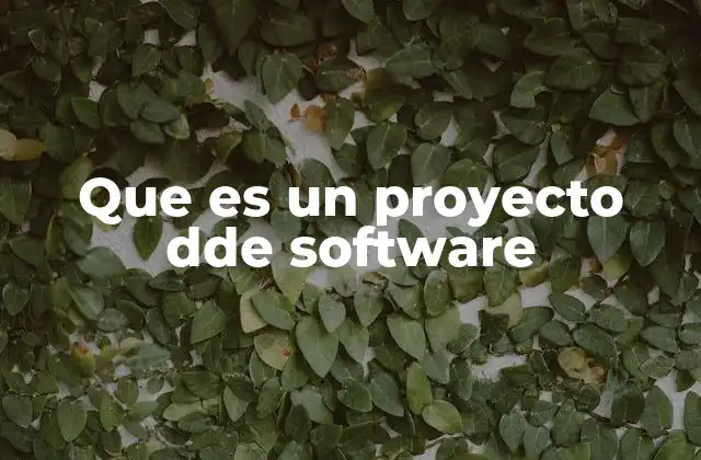 Que es un Proyecto Dde Software