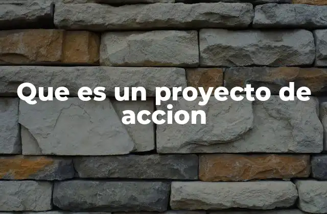 Que es un Proyecto de Accion