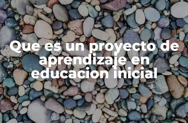 Que es un Proyecto de Aprendizaje en Educacion Inicial