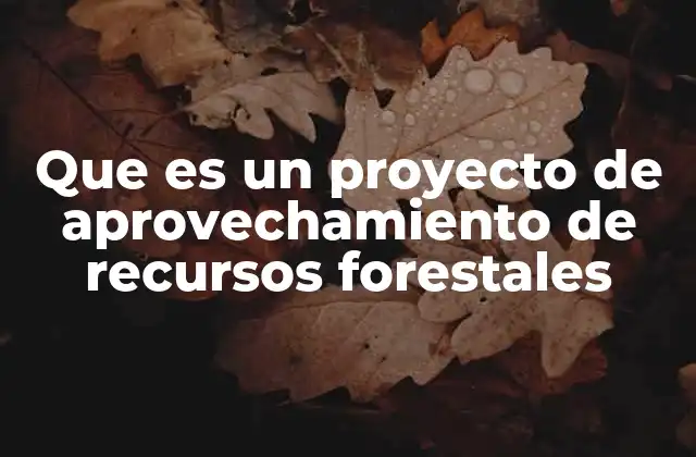 Que es un Proyecto de Aprovechamiento de Recursos Forestales