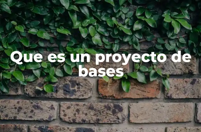 Que es un Proyecto de Bases