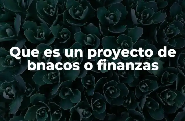 Que es un Proyecto de Bnacos o Finanzas 2 La importancia de la planificación en proyectos financieros