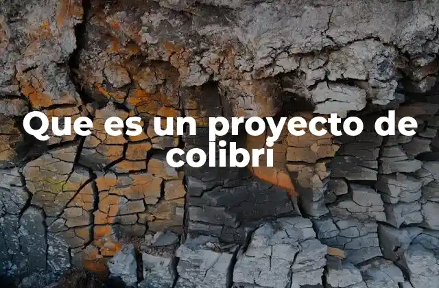 Que es un Proyecto de Colibri