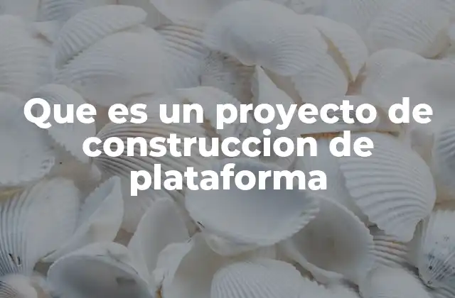 Que es un Proyecto de Construccion de Plataforma
