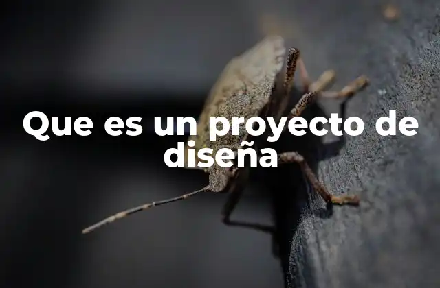 Que es un Proyecto de Diseña