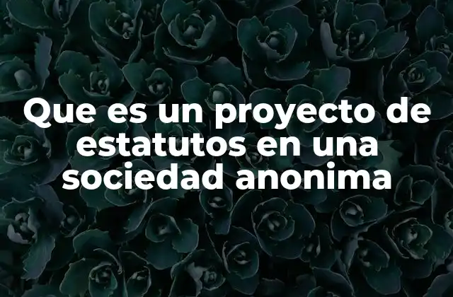 Que es un Proyecto de Estatutos en una Sociedad Anonima