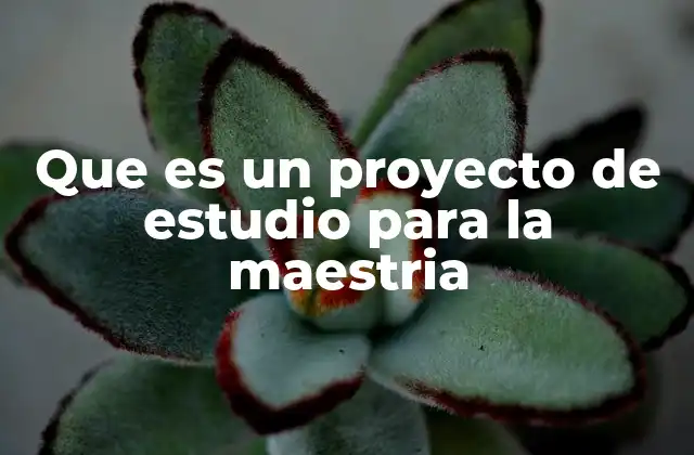 Que es un Proyecto de Estudio para la Maestria