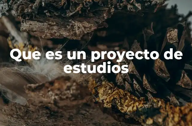 Que es un Proyecto de Estudios