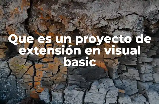 Que es un Proyecto de Extensión en Visual Basic