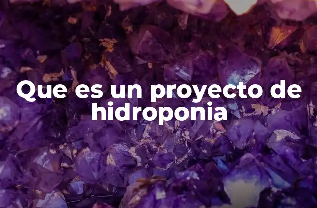 Que es un Proyecto de Hidroponia