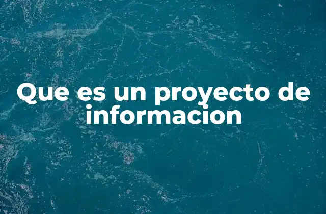 Que es un Proyecto de Informacion