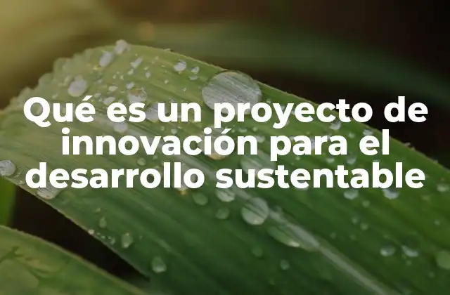 Qué es un Proyecto de Innovación para el Desarrollo Sustentable