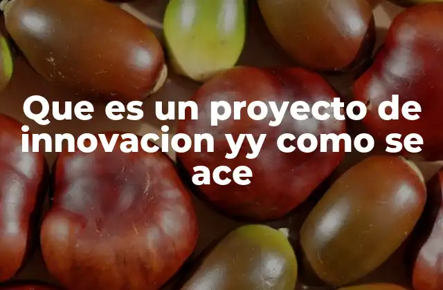 Que es un Proyecto de Innovacion Yy como Se Ace