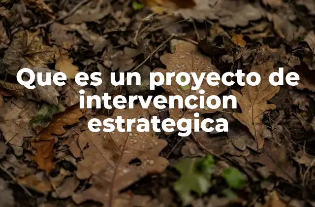 Que es un Proyecto de Intervencion Estrategica