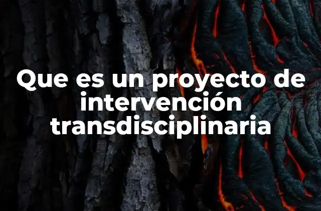La colaboración interdisciplinaria como base para resolver problemas complejos