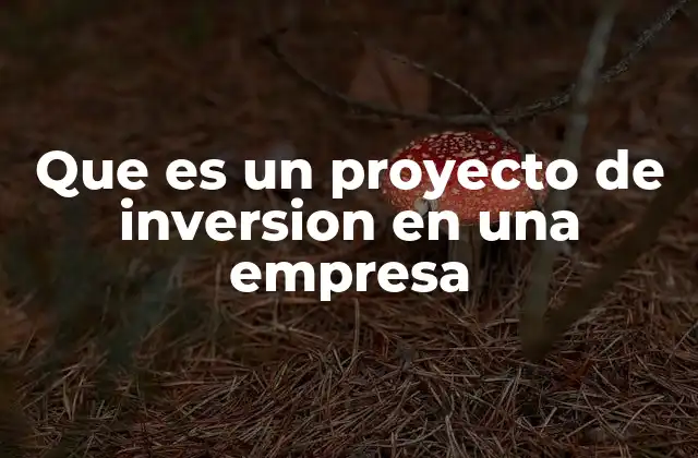 La importancia estratégica de los proyectos de inversión