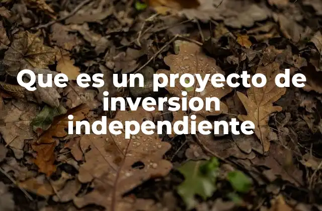 Que es un Proyecto de Inversion Independiente