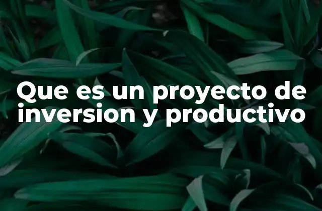 Que es un Proyecto de Inversion y Productivo