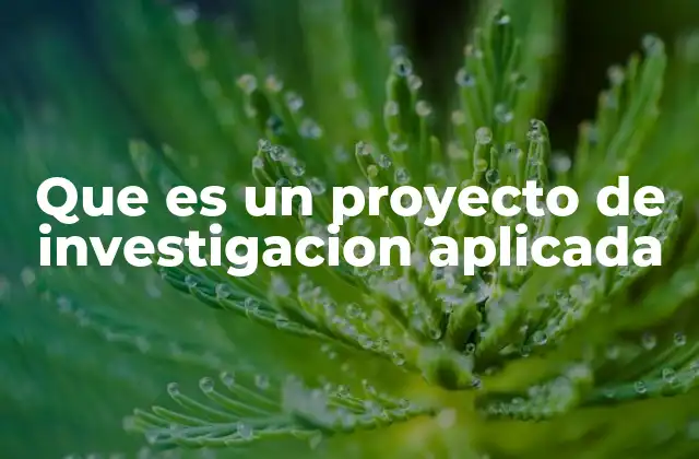 Que es un Proyecto de Investigacion Aplicada