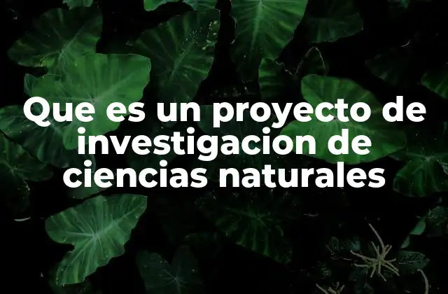 Que es un Proyecto de Investigacion de Ciencias Naturales