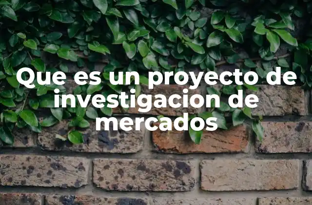 Que es un Proyecto de Investigacion de Mercados