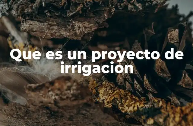Que es un Proyecto de Irrigacion