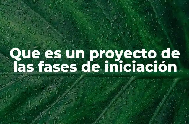 Que es un Proyecto de las Fases de Iniciación