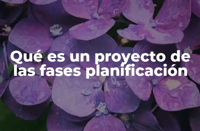 Qué es un Proyecto de las Fases Planificación