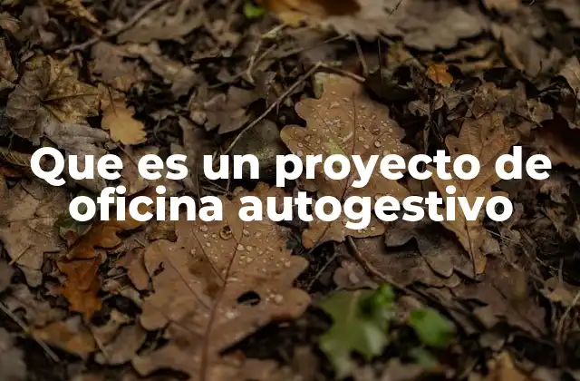Que es un Proyecto de Oficina Autogestivo