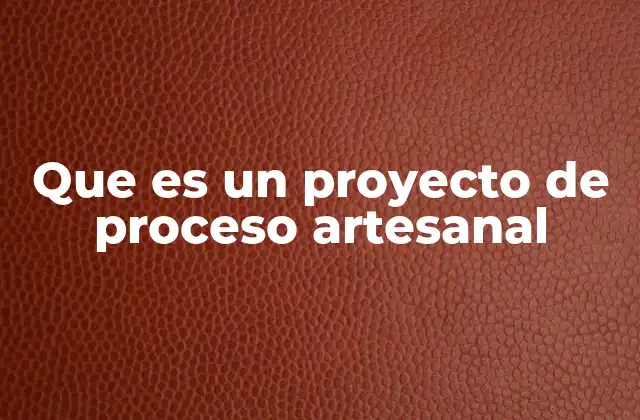 Que es un Proyecto de Proceso Artesanal
