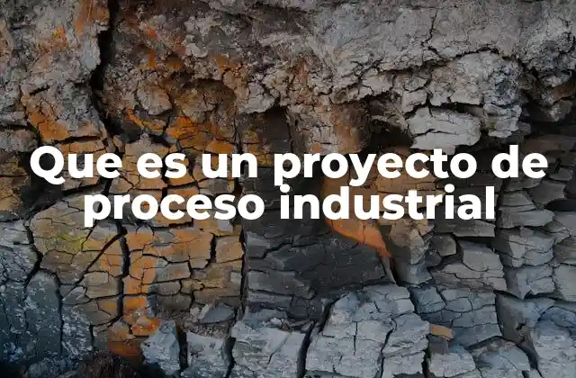 Que es un Proyecto de Proceso Industrial
