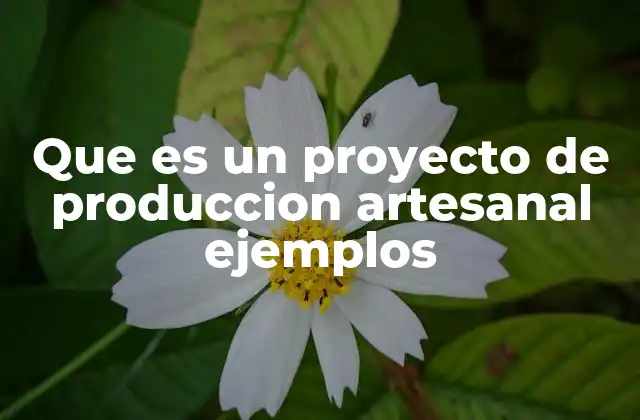 Que es un Proyecto de Produccion Artesanal Ejemplos