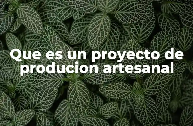 Que es un Proyecto de Producion Artesanal