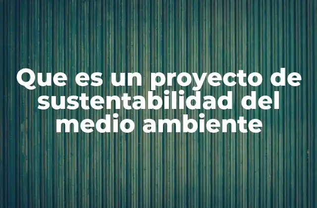 Que es un Proyecto de Sustentabilidad Del Medio Ambiente