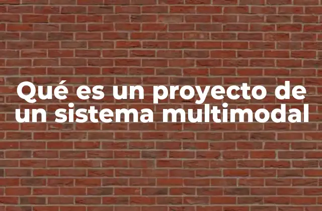 Cómo se estructura un sistema multimodal