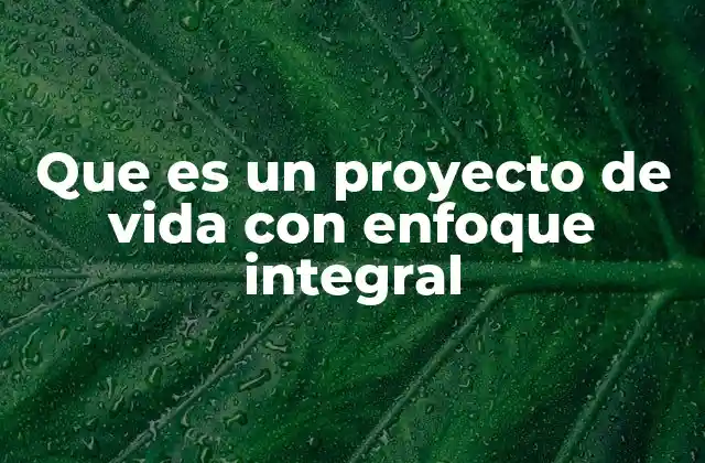 Que es un Proyecto de Vida con Enfoque Integral