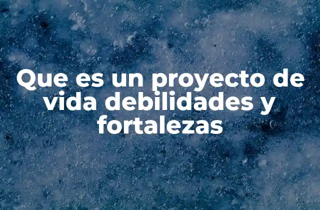 Que es un Proyecto de Vida Debilidades y Fortalezas