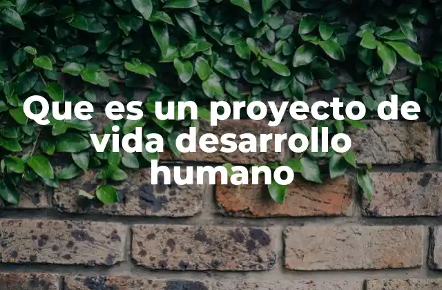 Que es un Proyecto de Vida Desarrollo Humano