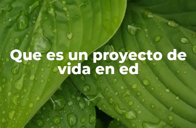 Que es un Proyecto de Vida en Ed