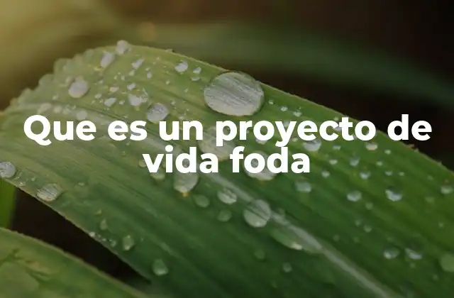 Que es un Proyecto de Vida Foda