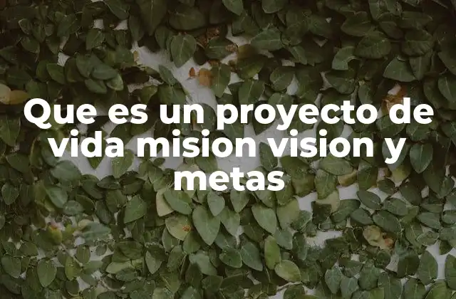 Que es un Proyecto de Vida Mision Vision y Metas