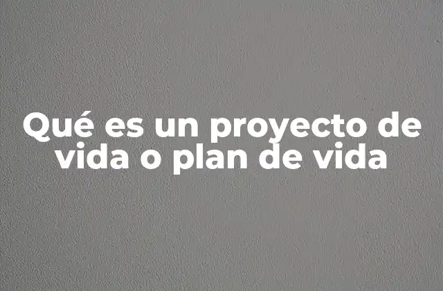 Qué es un Proyecto de Vida o Plan de Vida