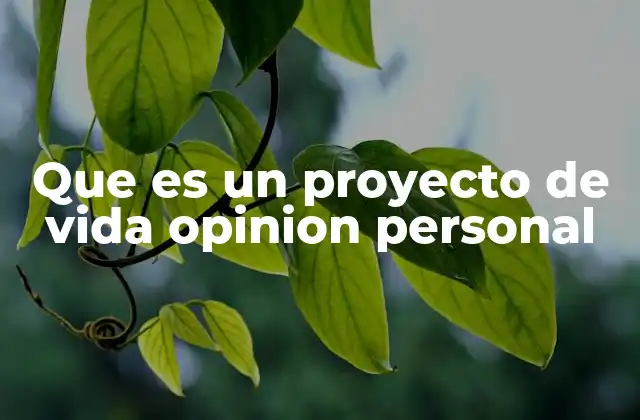 Que es un Proyecto de Vida Opinion Personal